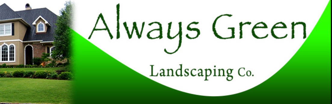 How to Create a Healthy and Attractive Lawn Year-Round